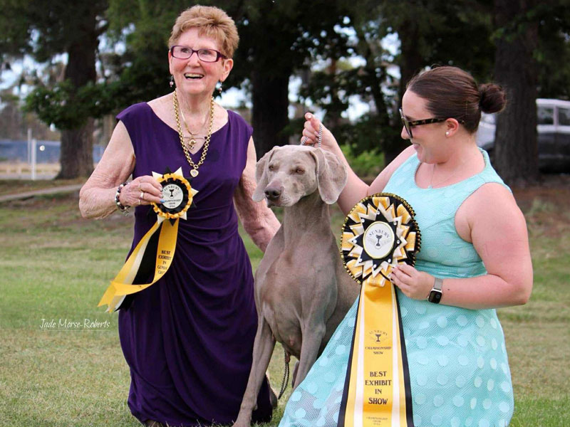 Best in Show Results 2024